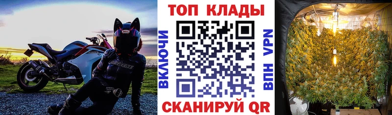 Виды наркотиков купить Нерюнгри АМФЕТАМИН  A-PVP  Мефедрон  Каннабис  мега как зайти  ГАШ 
