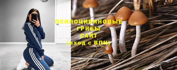 стафф Белоозёрский