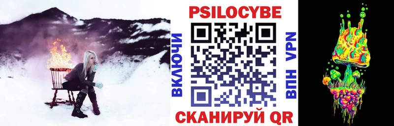 Псилоцибиновые грибы Cubensis  что такое   Нерюнгри 