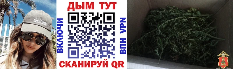Каннабис SATIVA & INDICA  MEGA ссылка  мориарти состав  дарнет шоп  Нерюнгри 